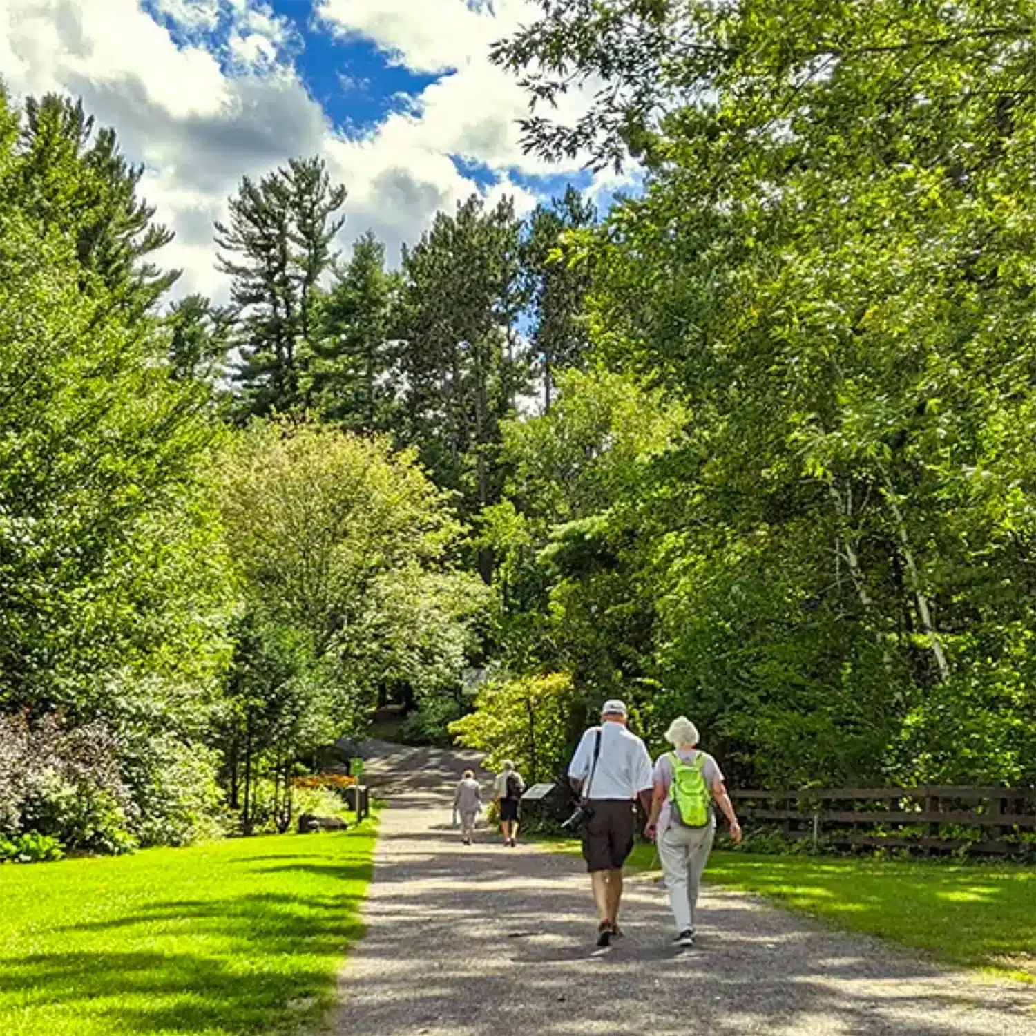 Walking